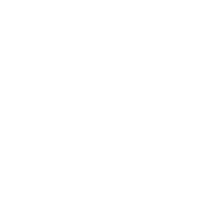 WordPress Logo White