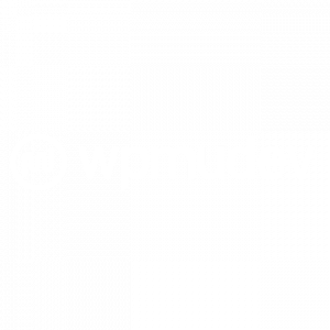 WPMU Dev Logo White