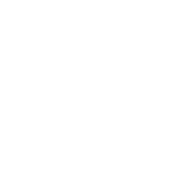 WPMU Dev Logo White